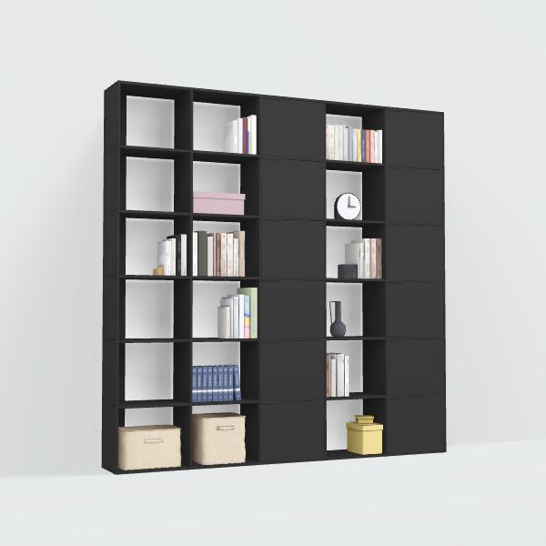 Bookcase in Black with Doors